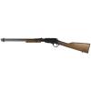 rossi gallery 22 wmr 20in 12rd black/wood pump action rifle (rp22w201wd)