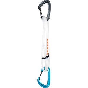 Salomon Quantum